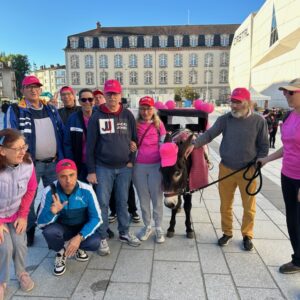 2963509271615991817 photo octobre rose